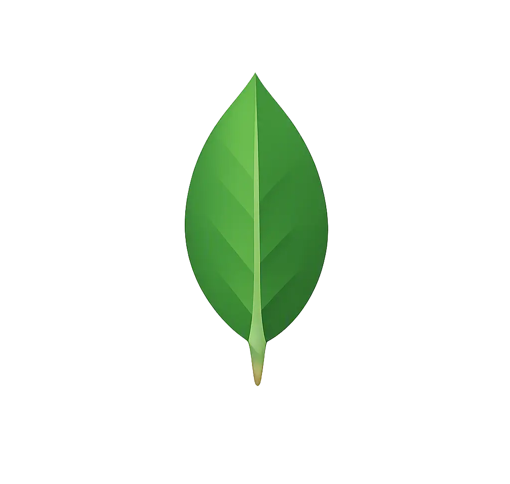 MongoDB